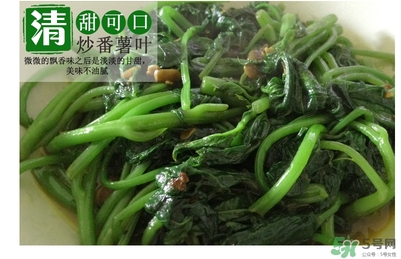 紅薯葉哺乳期可以吃嗎？紅薯葉產(chǎn)婦可以吃嗎？