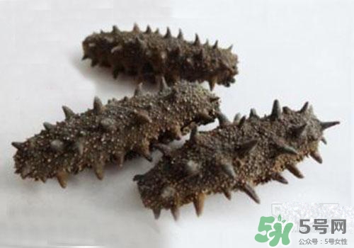 海參肚子里的筋能吃嗎？海參肚子里的筋吃了有什么作用？