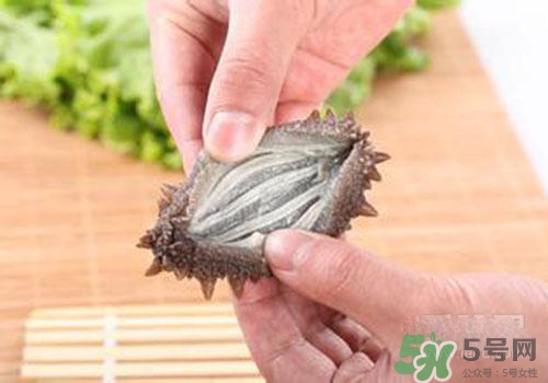 海參肚子里的筋能吃嗎？海參肚子里的筋吃了有什么作用？