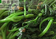 紅薯葉不能和什么一起吃？紅薯葉什么不能吃？