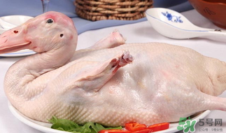 鴨肉可以放冰箱嗎？鴨肉放冰箱能保鮮多久？