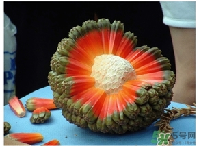 露兜果怎么吃？露兜果的功效作用