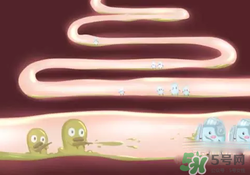 益生菌可以長(zhǎng)期吃嗎？益生菌什么時(shí)候吃比較好？