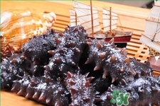 新鮮海參和干海參哪種更好？海參的品種有哪些？