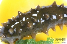 怎樣鑒別新鮮海參的好壞？干海參如何鑒別真假