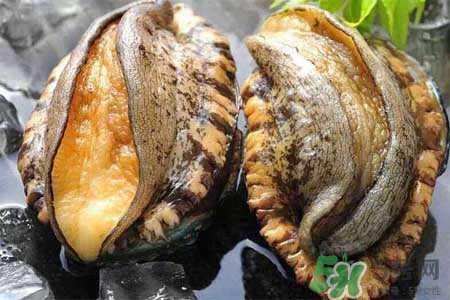 鮑魚(yú)能冷凍嗎？鮑魚(yú)可以放冰箱冷藏嗎？