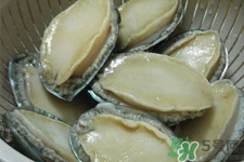 鮑魚死后可以放幾天？鮑魚死后多久不能吃？