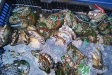 男人吃鮑魚能補(bǔ)腎嗎？腎虛能吃鮑魚嗎？