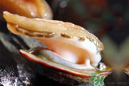 男人吃鮑魚能補(bǔ)腎嗎？腎虛能吃鮑魚嗎？