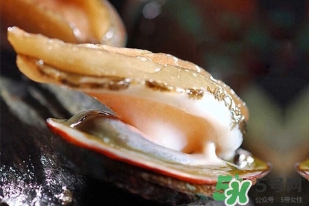 鮑魚一次最多吃幾個？鮑魚吃多了有什么不好的？