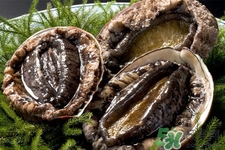 吃鮑魚要注意些什么？吃鮑魚會過敏嗎？