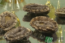 吃鮑魚要注意些什么？吃鮑魚會過敏嗎？