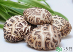吃香菇有什么好處？吃香菇有什么壞處？