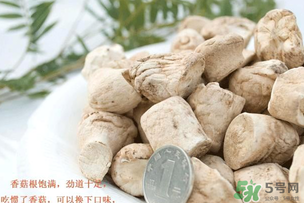 香菇根能吃嗎？香菇的根可以吃嗎？