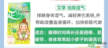 樹之惠足貼5款區(qū)別？樹之惠足貼哪款好用？