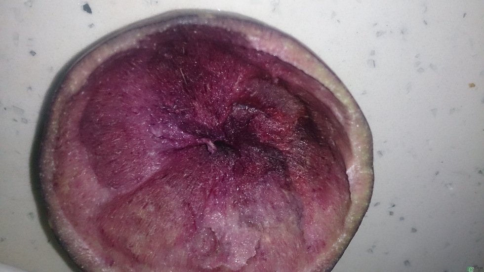 牛奶果怎么吃？牛奶果的功效與作用