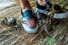 vans與acu合作款鞋子在哪可以買？vans與acu合作款鞋子上市發(fā)售時間