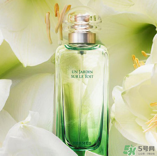 愛馬仕香水怎么看真假？愛馬仕香水真假鑒別圖