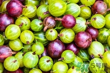燈籠果一天吃幾個最好？燈籠果什么時候吃最好？