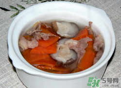 雞肉能和胡蘿卜一起吃嗎？雞肉和蘿卜可以一起吃嗎？