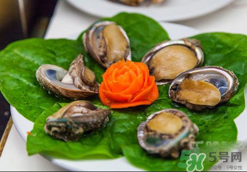 鮑魚是熱性還是涼性？鮑魚是寒性食物嗎？