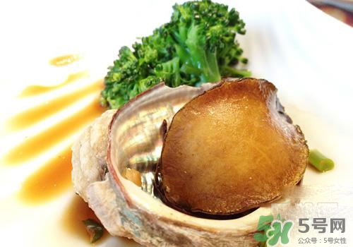 鮑魚是熱性還是涼性？鮑魚是寒性食物嗎？