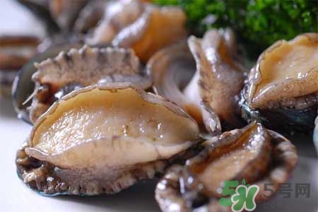 寶寶能吃鮑魚嗎？寶寶多大可以吃鮑魚？