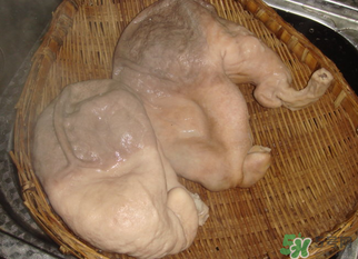 豬大腸怎么清洗？豬大腸怎么去臭味？