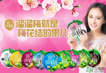 溜溜梅是梅花結(jié)的果嗎？溜溜梅的功效作用