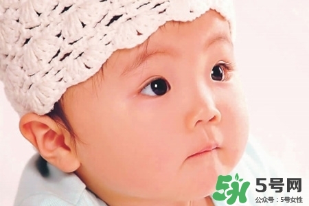 寶寶幾個(gè)月能吃肉泥？寶寶多大可以開(kāi)始吃肉？