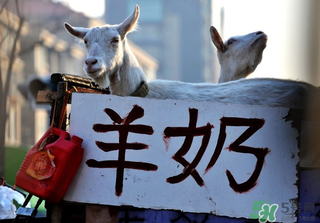 鮮羊奶怎么保存？鮮羊奶放冰箱能放多久？