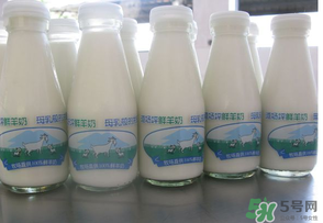 鮮羊奶可以直接喝嗎？鮮羊奶怎么喝最好？