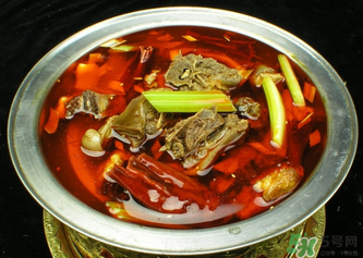 狗肉不能和什么一起吃？狗肉和什么相克？