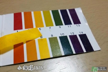 賽貝格哪里買？賽貝格哪里有專柜？