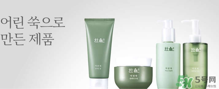 韓律艾草洗面奶多少錢？韓律艾草洗面奶專柜價(jià)格