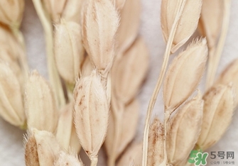 韓律適合什么膚質？韓律適合敏感肌膚嗎？