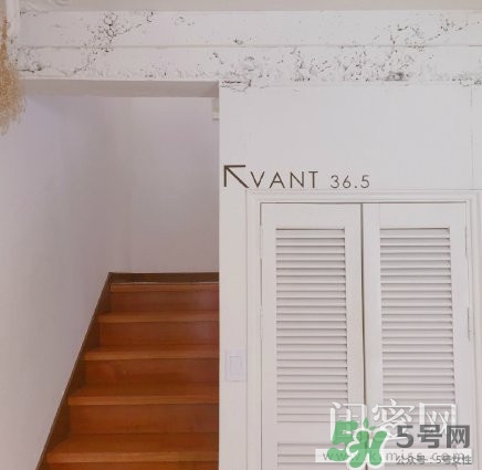 vant氣墊粉底霜怎么樣？vant36.5粉霜粉膏好用嗎？