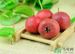 新鮮山楂什么時候上市？新鮮山楂什么時候成熟？
