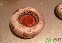 口菇變黑還能吃嗎？口菇的營養(yǎng)價值
