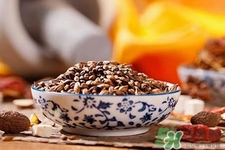 喝大麥茶可以減肥嗎？飲用大麥茶也能減肥