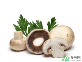 草菇怎么保存？新鮮草菇怎么保存？