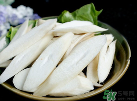 雞腿菇長白毛能吃嗎？雞腿菇怎么做好吃？