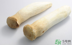雞腿菇長白毛能吃嗎？雞腿菇怎么做好吃？