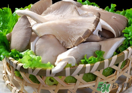 蘑菇可以放冰箱嗎？蘑菇放冰箱長毛了能吃嘛？