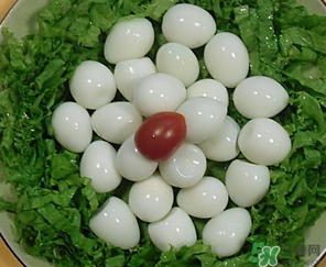 鵪鶉蛋一天吃幾個(gè)合適？鵪鶉蛋一天最多吃幾個(gè)？