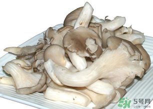 平菇怎么保存？平菇能放幾天？