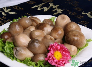 草菇可以放冰箱嗎？草菇放冰箱還能吃嗎？