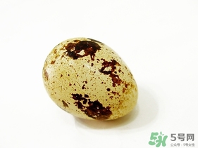 鵪鶉蛋不能和什么一起吃？鵪鶉蛋不能與什么同食？