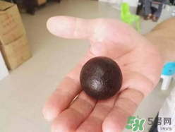 羊?qū)毷鞘裁矗垦驅(qū)殲槭裁催@么貴？