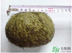 羊?qū)毷鞘裁矗垦驅(qū)殲槭裁催@么貴？
